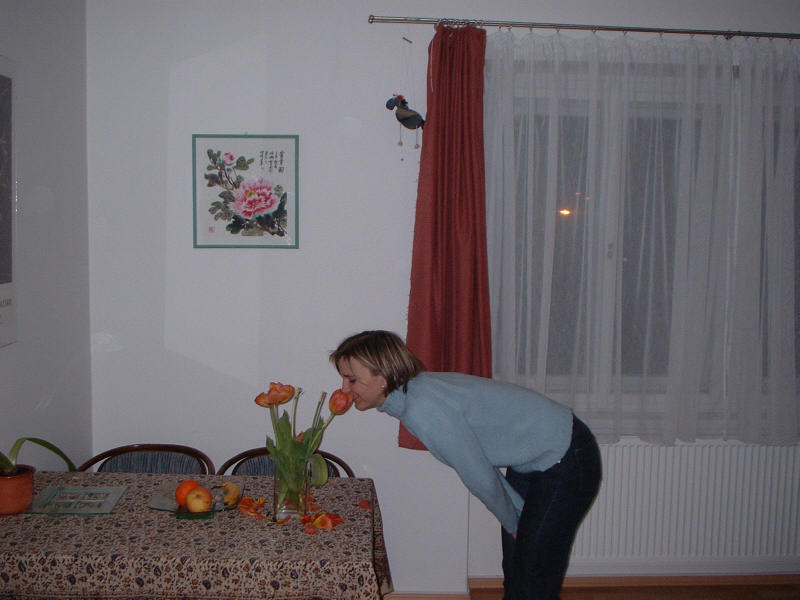  (Kliknutďż˝m se obrďż˝zek zavďż˝e)