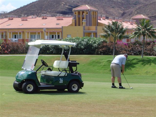 Kůň na golfu na Tenerife (Kliknutďż˝m se obrďż˝zek zavďż˝e)