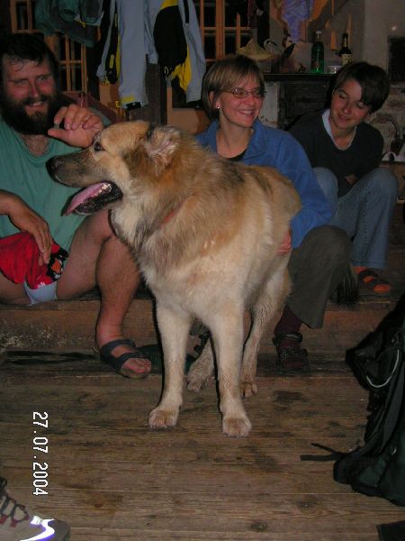 Max zase něco sežral (Kliknutďż˝m se obrďż˝zek zavďż˝e)